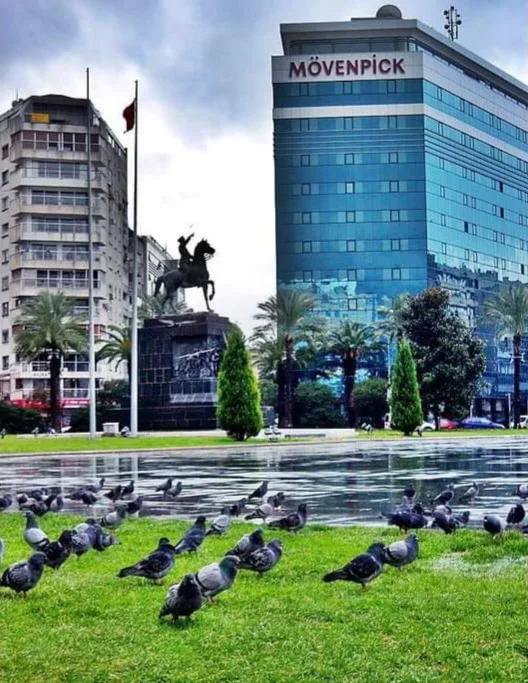 FB_IMG_1709905247640