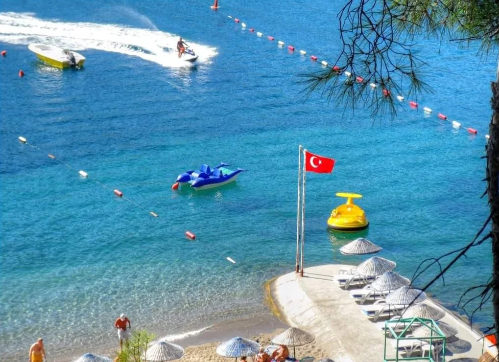 FB_IMG_1709906533312