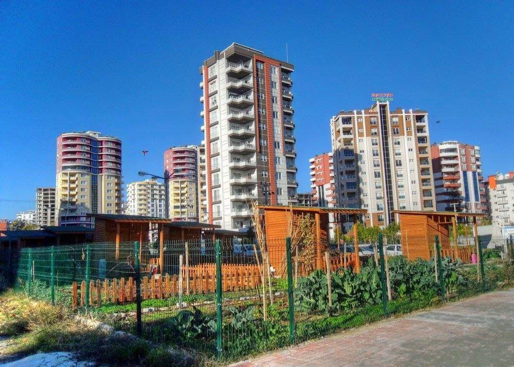 FB_IMG_1709908103694