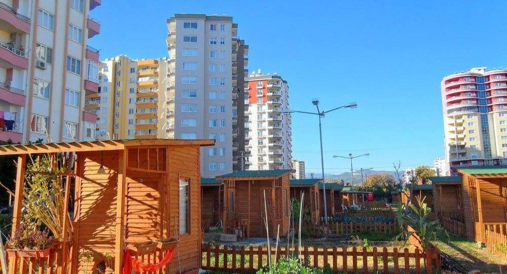 FB_IMG_1709908111132