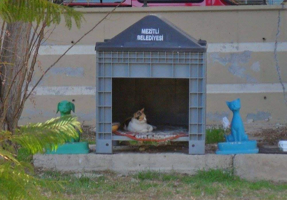 FB_IMG_1709908317333