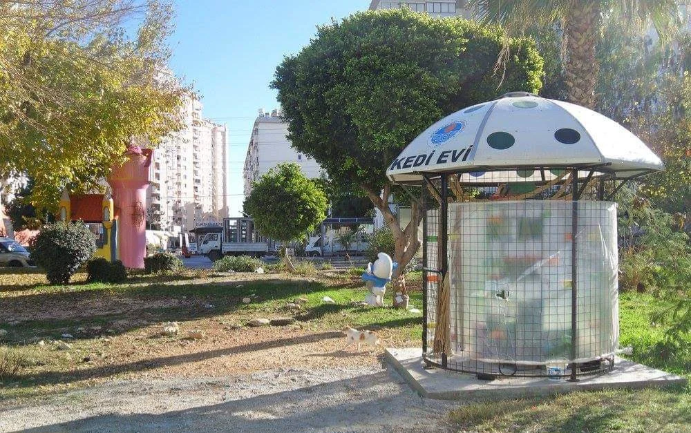 FB_IMG_1709908363052