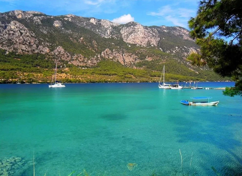 FB_IMG_1710066470381