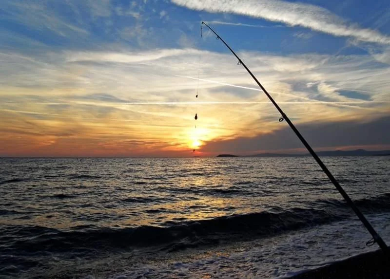 FB_IMG_1710067224202