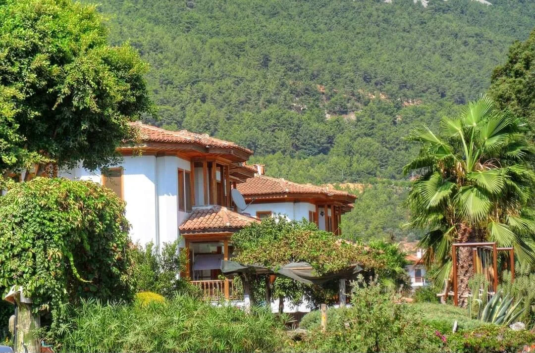 FB_IMG_1710697239930