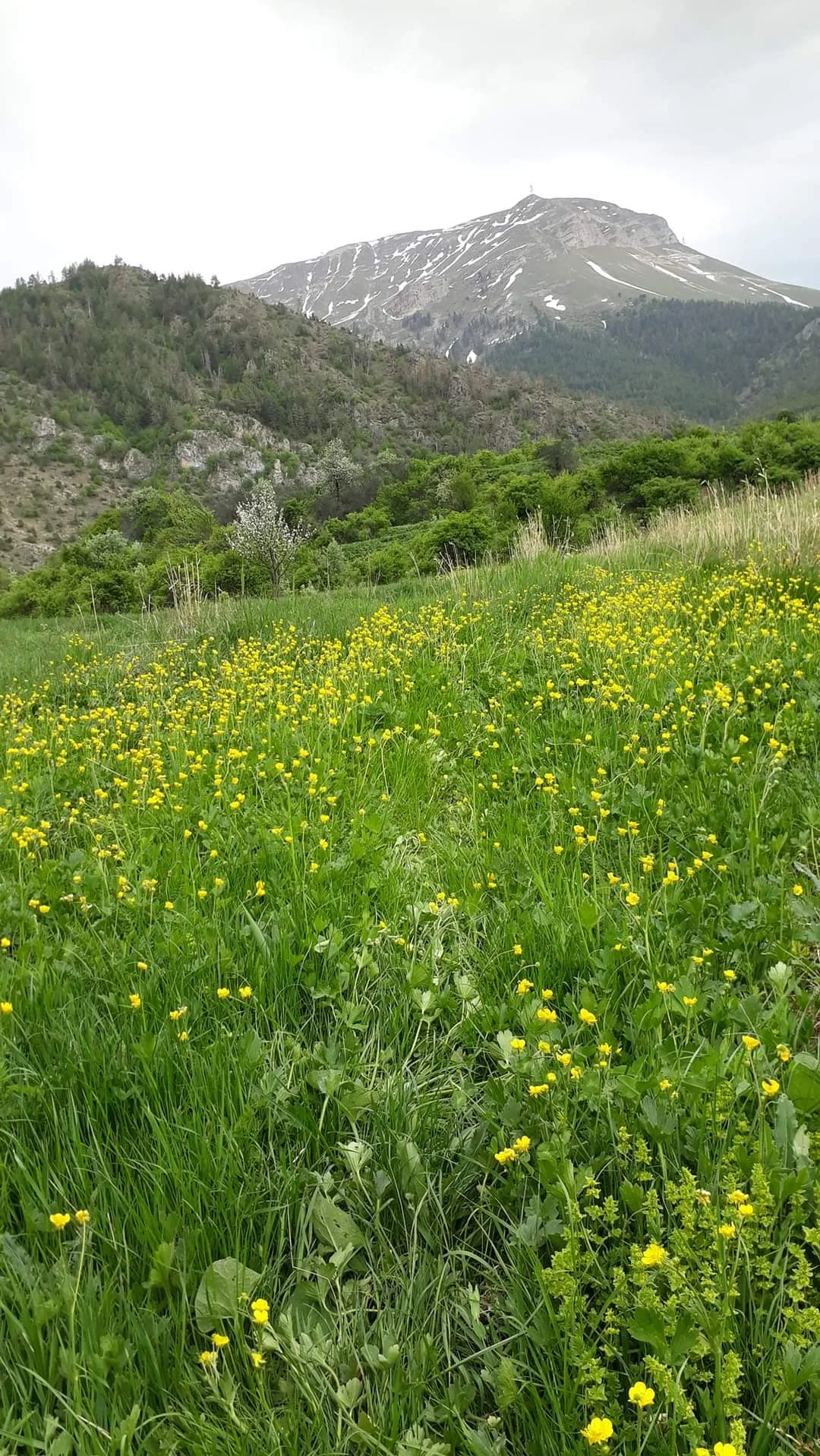 FB_IMG_1715704161874