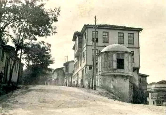 fehimpaşakonağıçekirge