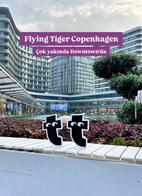 flying_tiger.webp