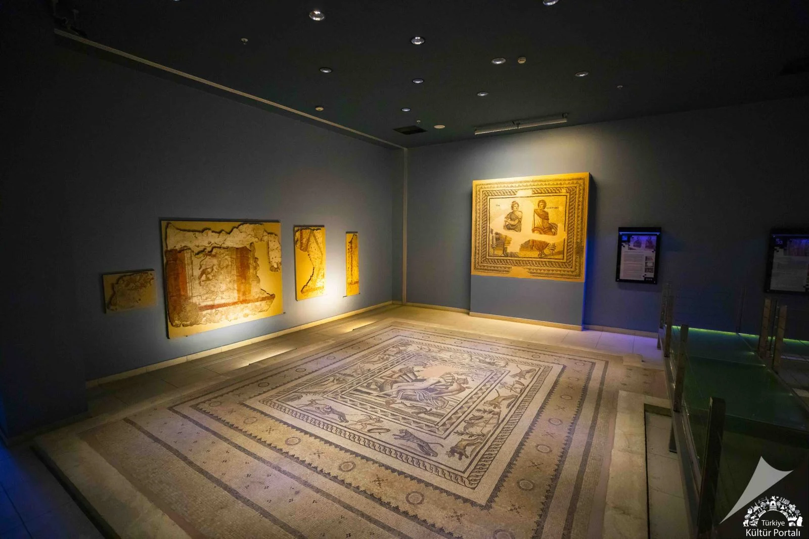 Gaziantep Zeugma Mozaik Müzesi (4)