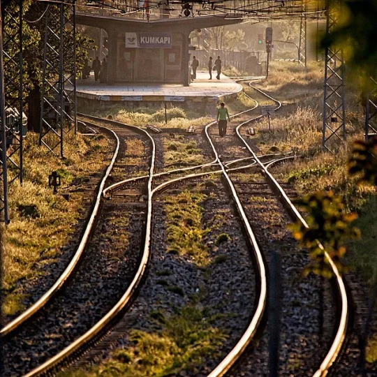 google_place_photo (1)