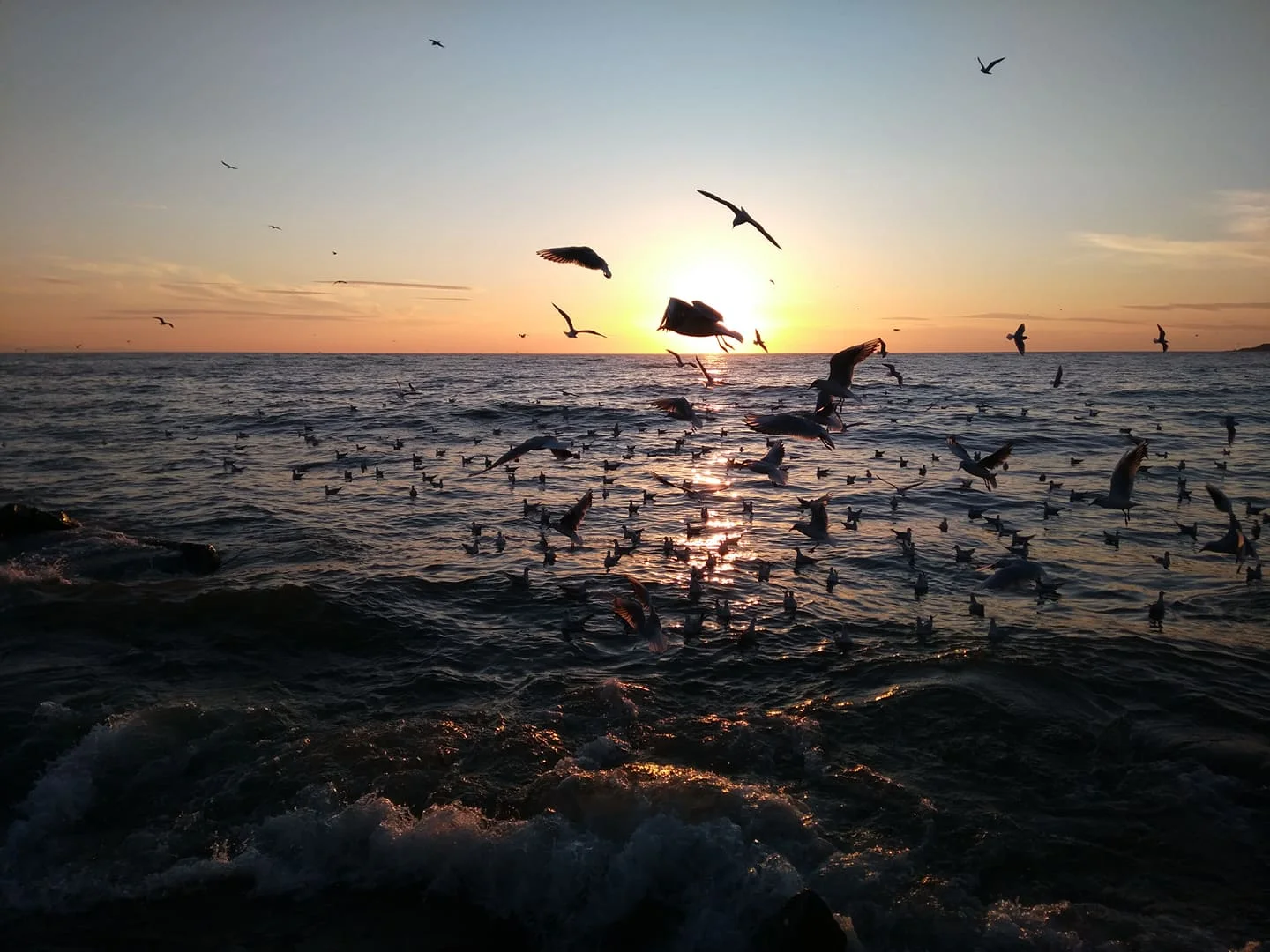 Gürpınar2.28.11.2021