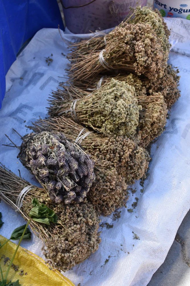 havran-koylu-pazari-00012