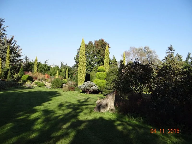 hayrettin-karaca-arberotumu