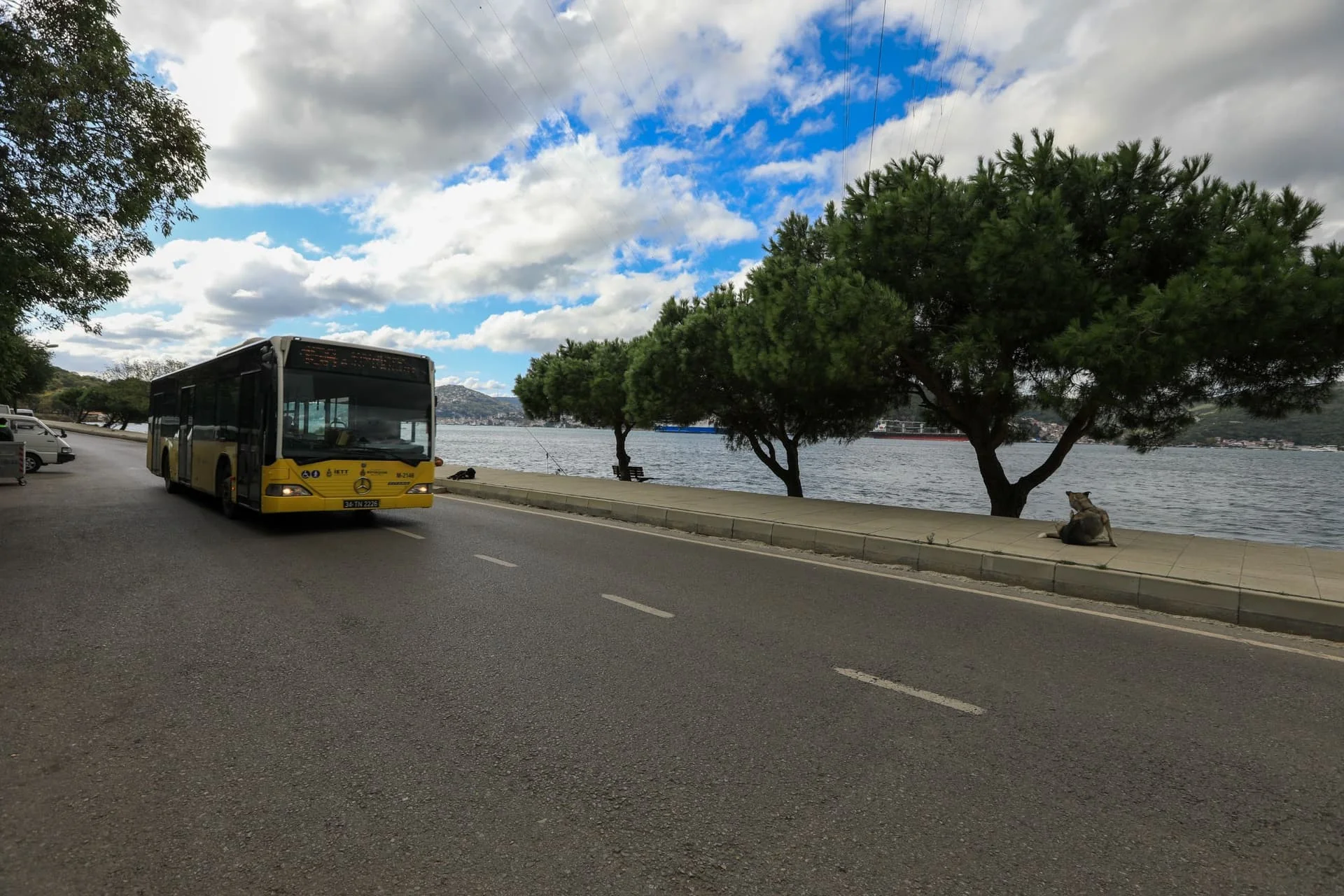 IETT_PLAJLARA_SEFER_6_a7b6b38d39