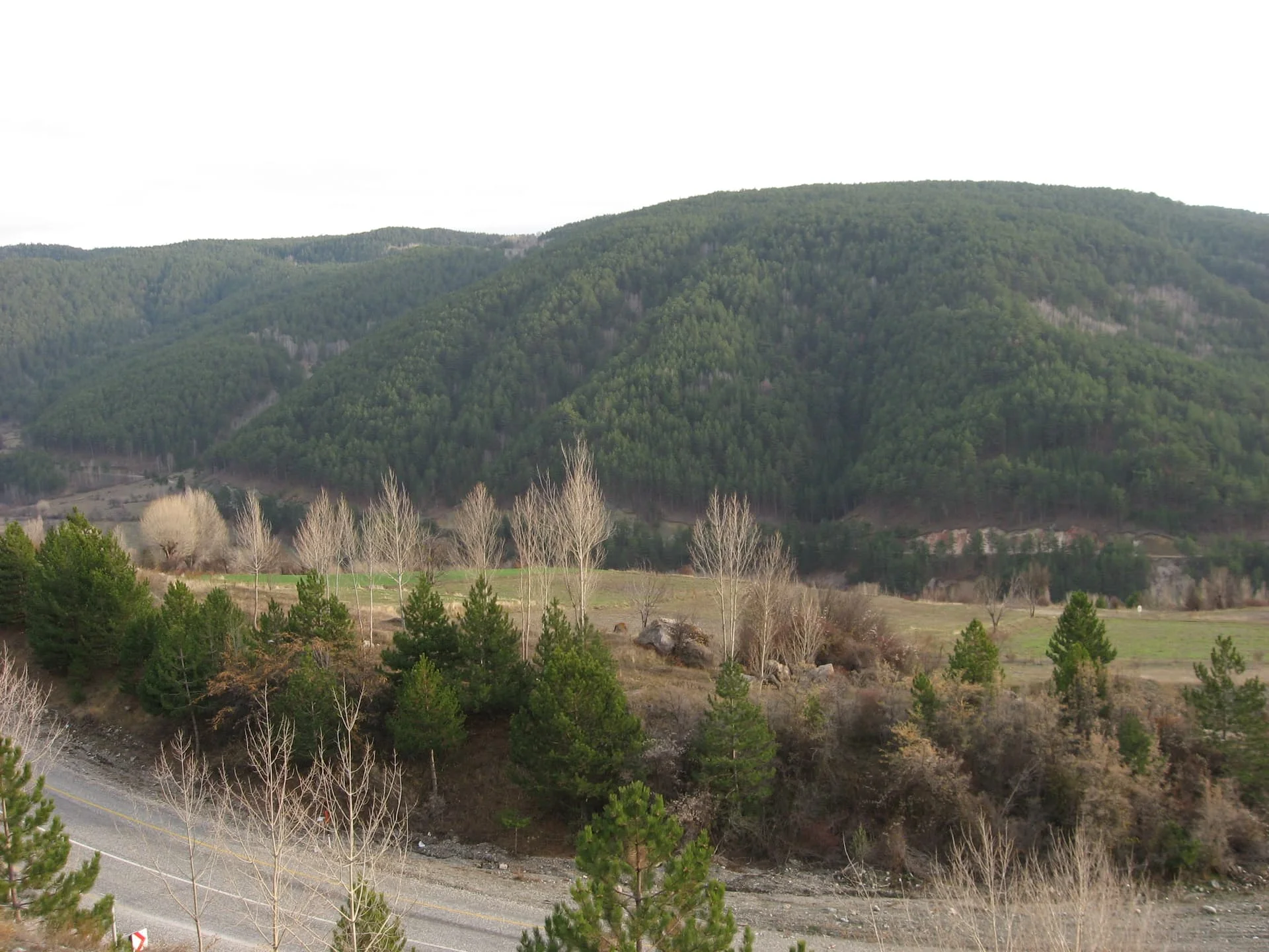 ilgazdan resimler (10)