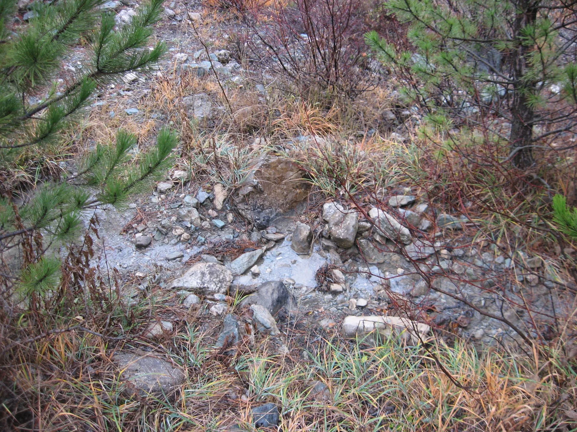 ilgazdan resimler (100)