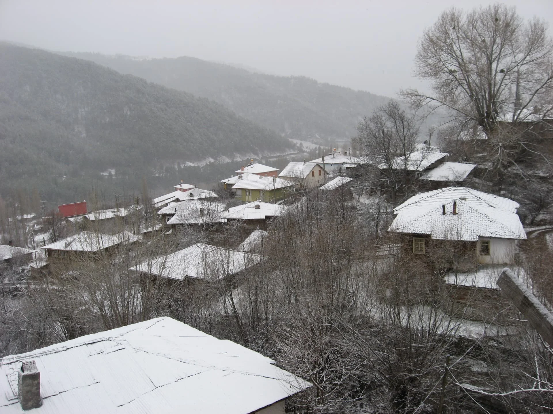 ilgazdan resimler (109)