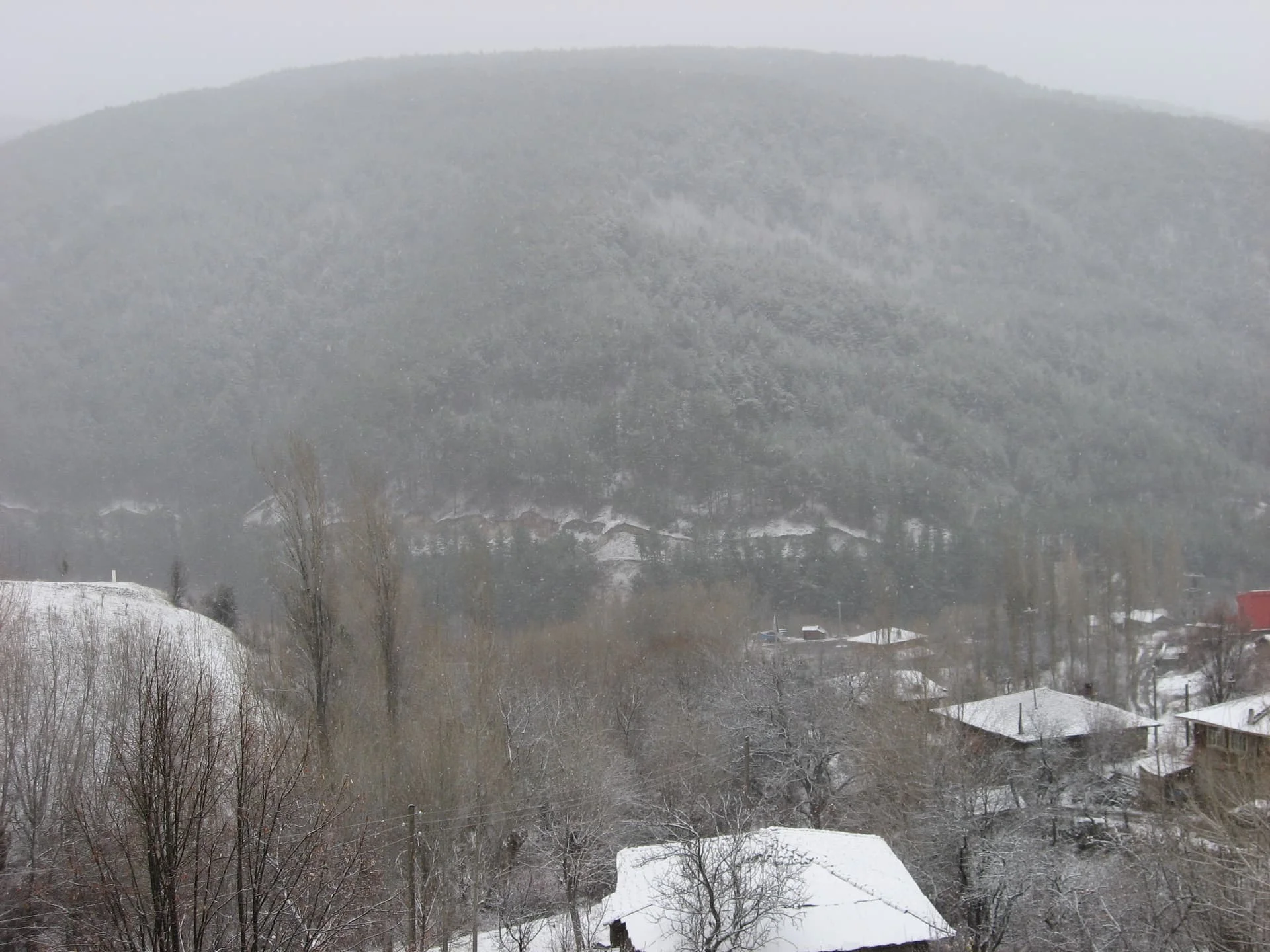 ilgazdan resimler (110)