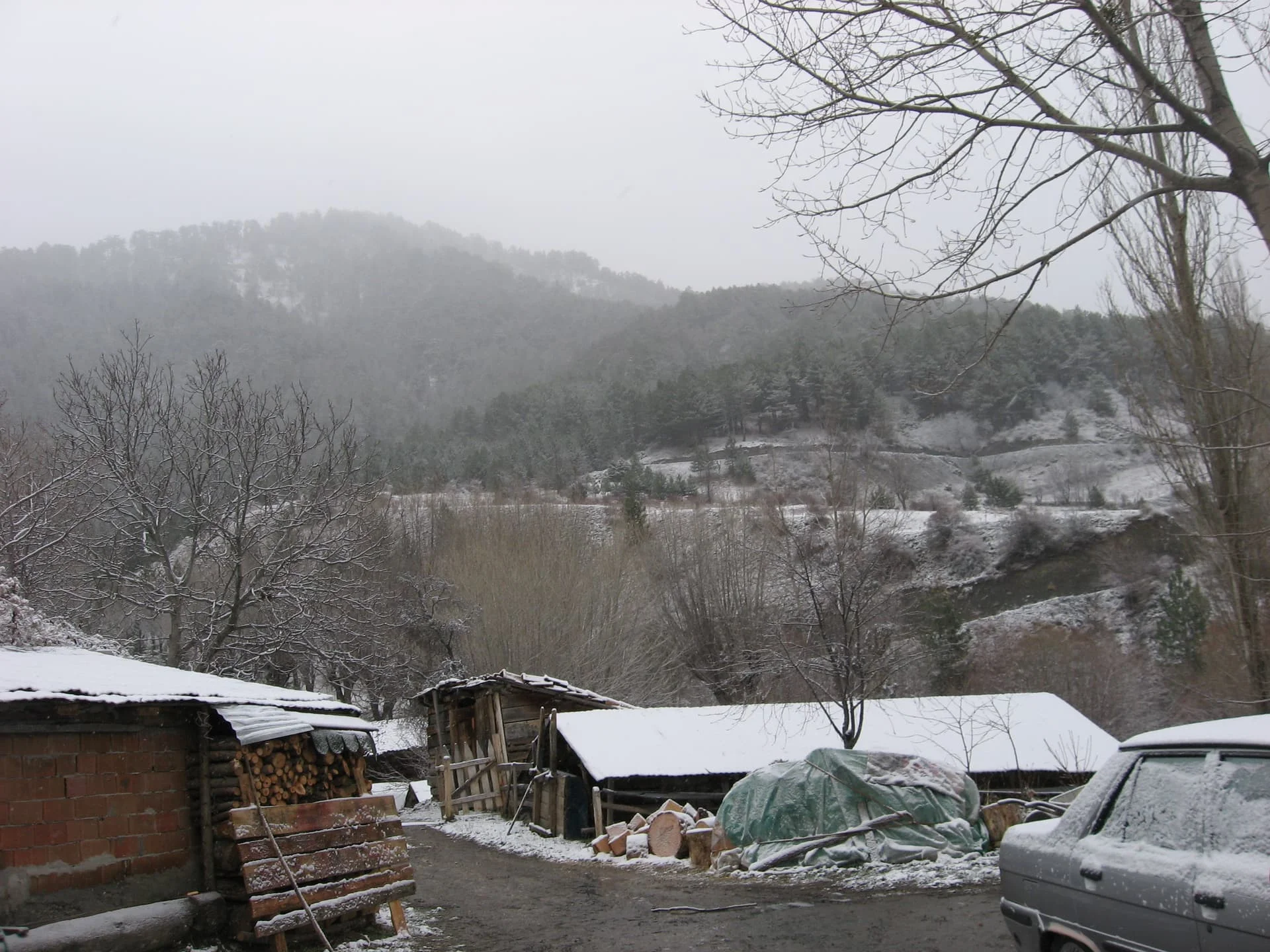 ilgazdan resimler (113)