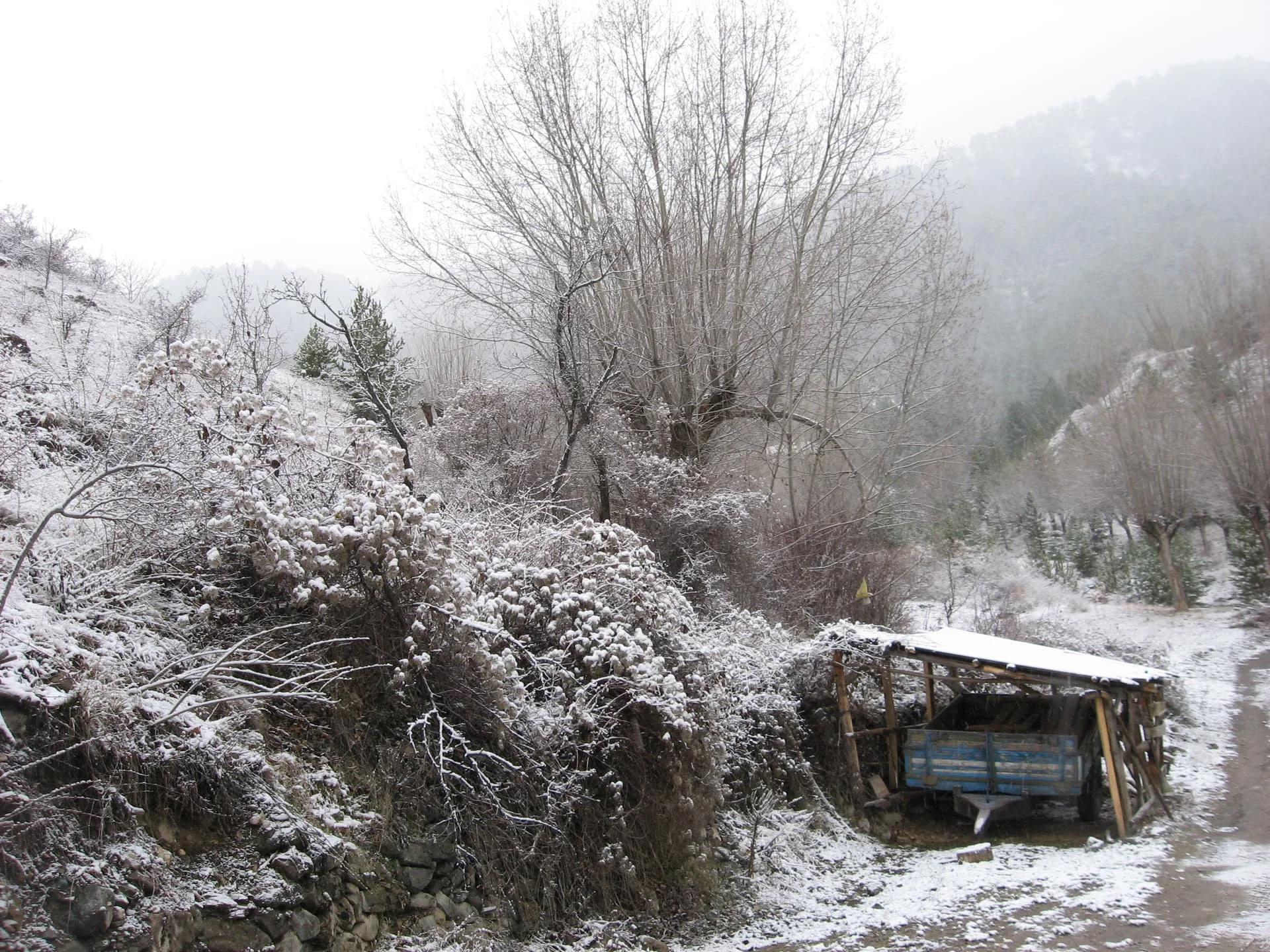 ilgazdan resimler (114)