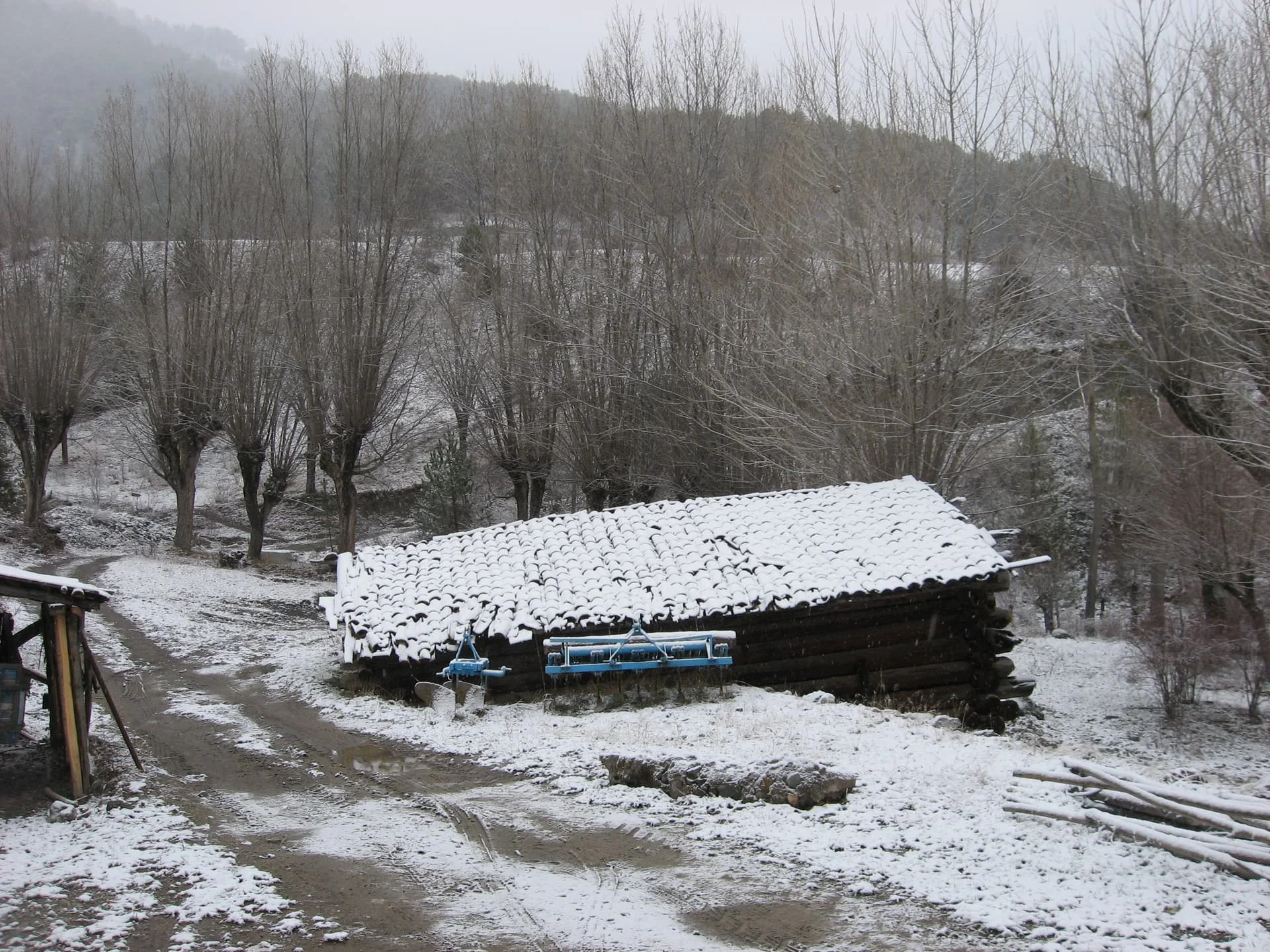 ilgazdan resimler (115)