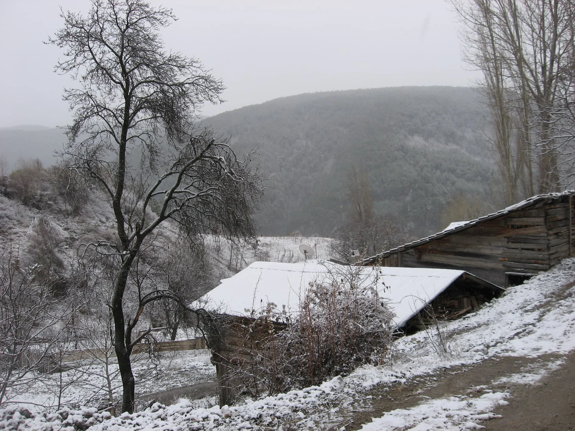 ilgazdan resimler (116)