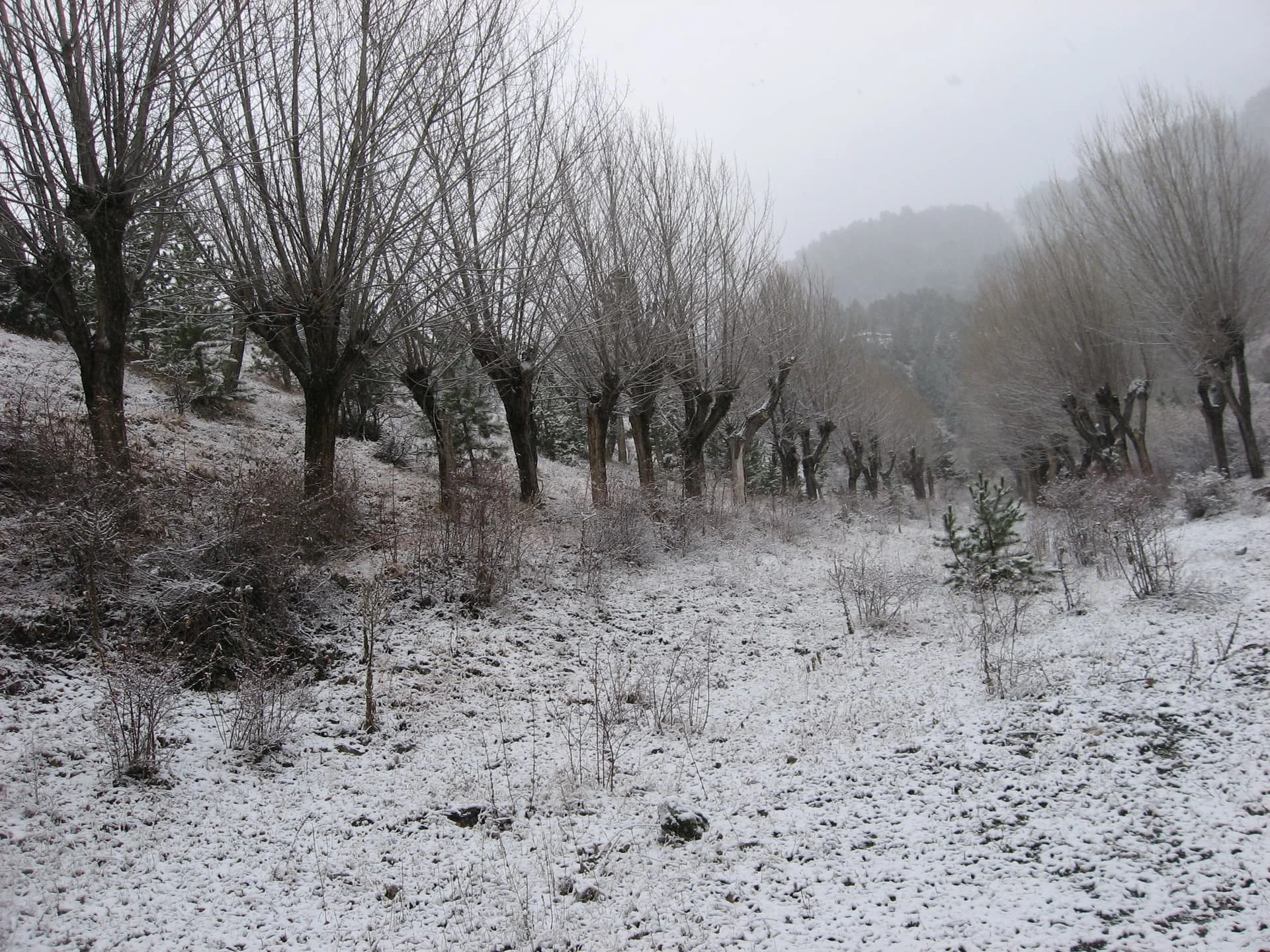 ilgazdan resimler (118)