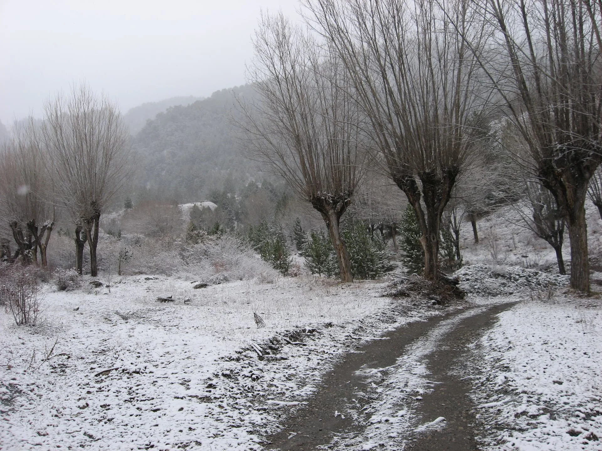 ilgazdan resimler (119)