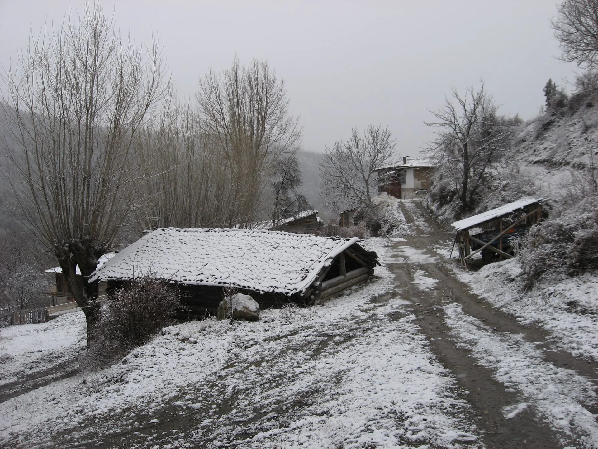 ilgazdan resimler (120)