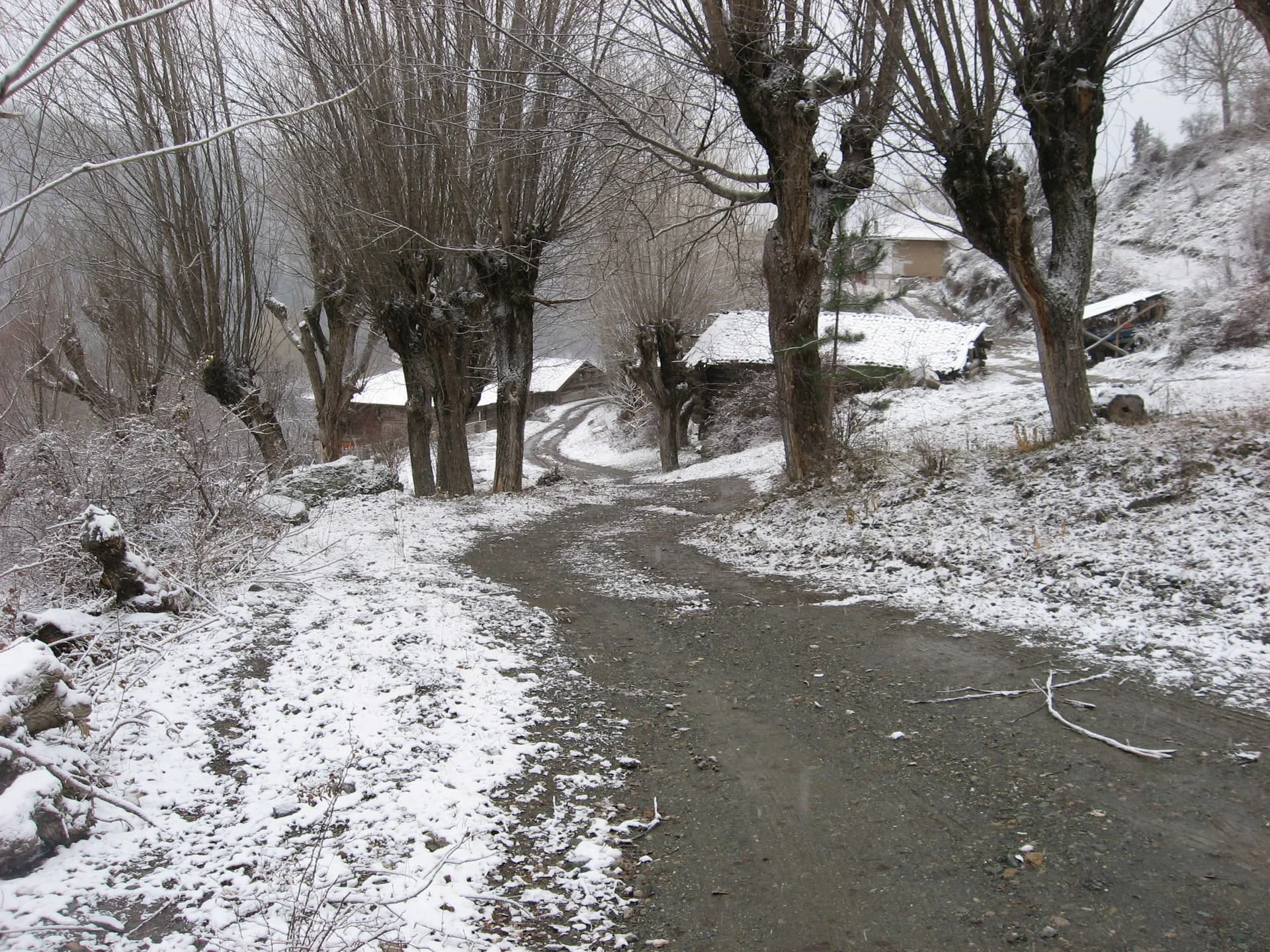 ilgazdan resimler (122)