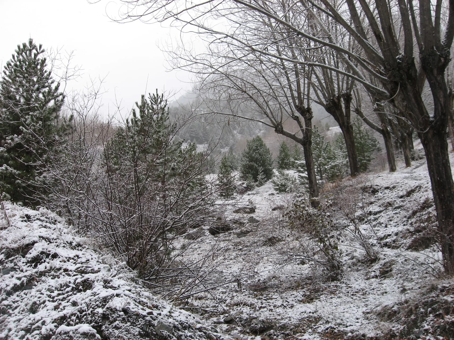 ilgazdan resimler (123)