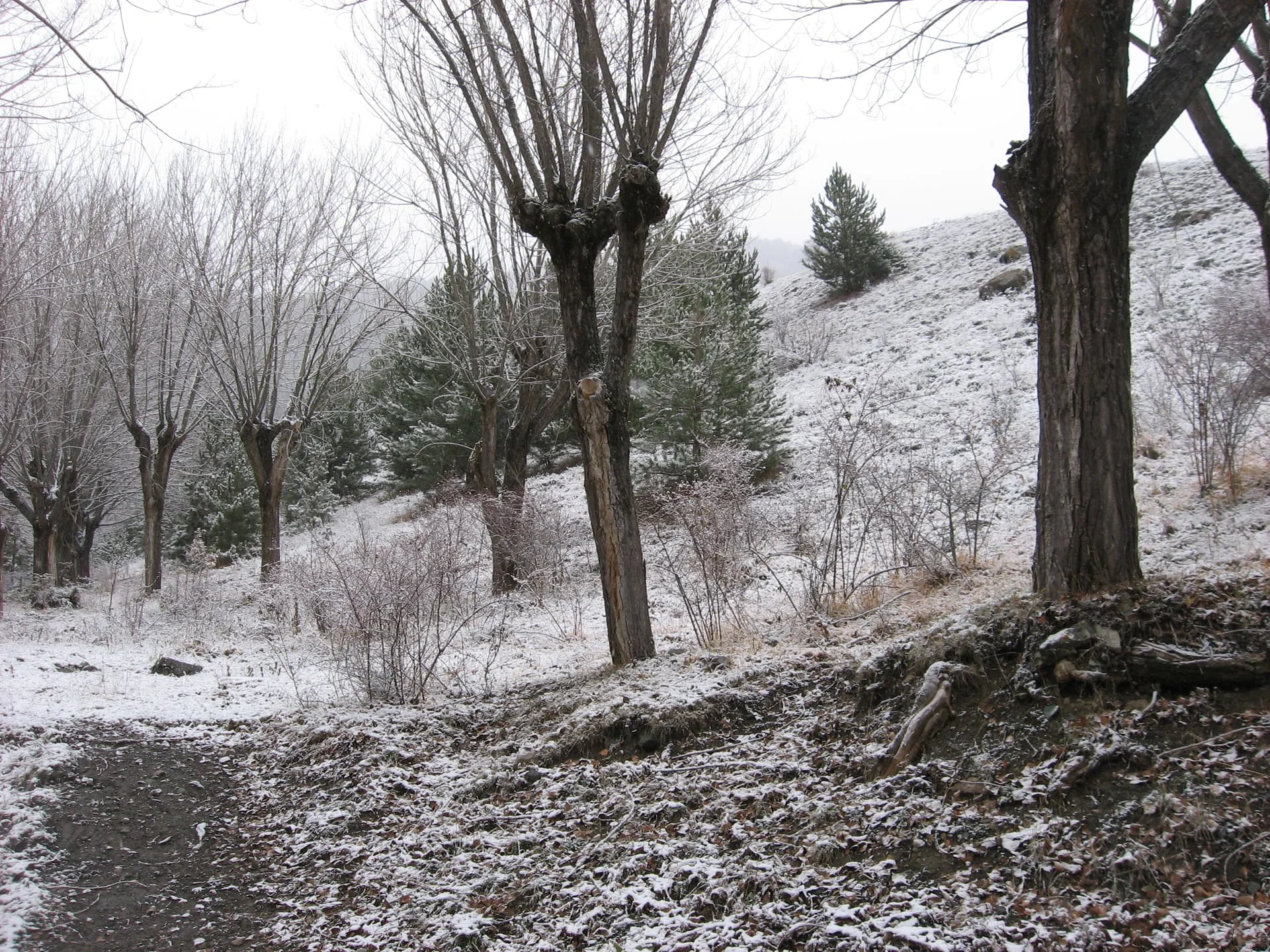 ilgazdan resimler (124)