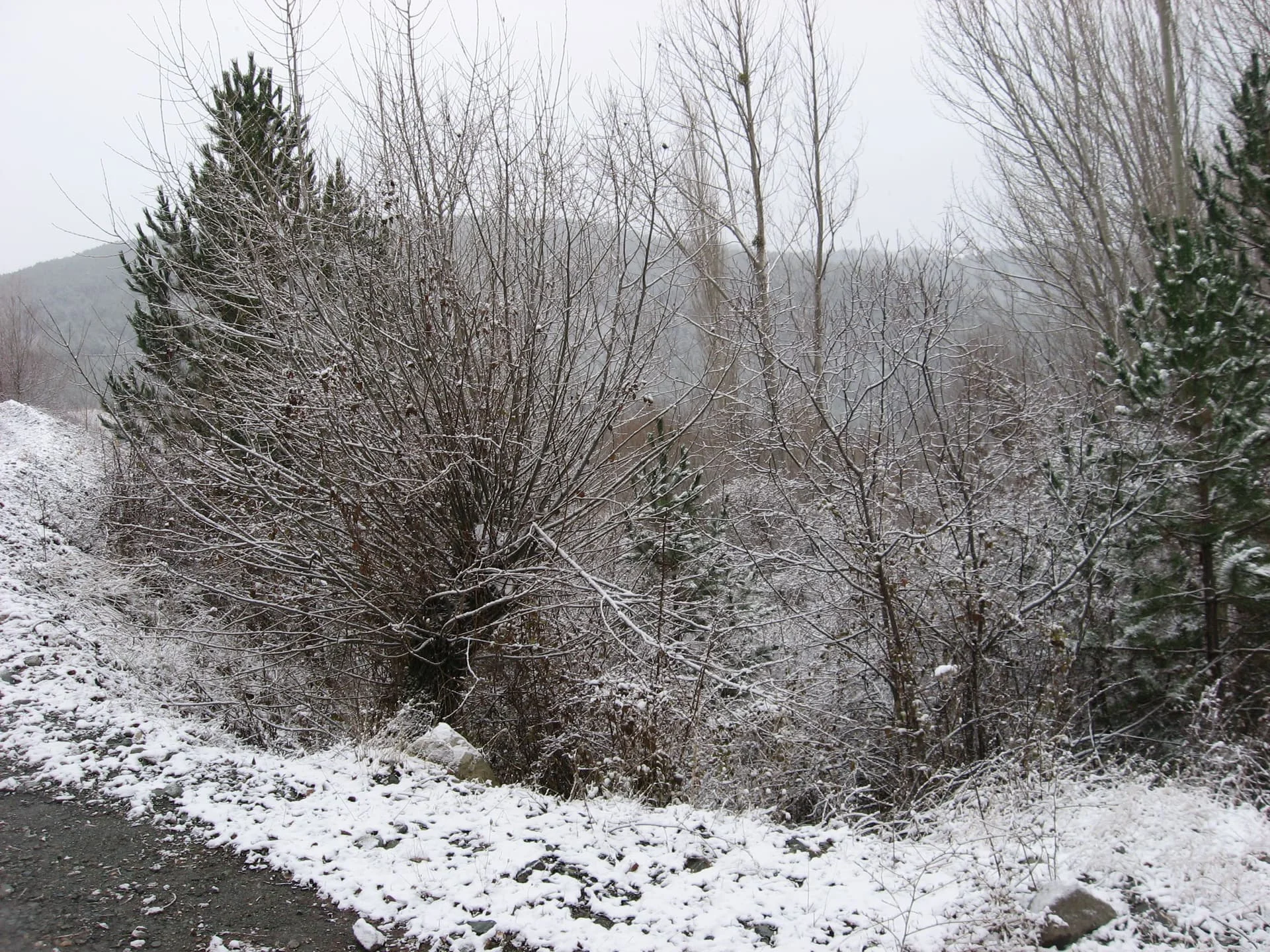 ilgazdan resimler (126)