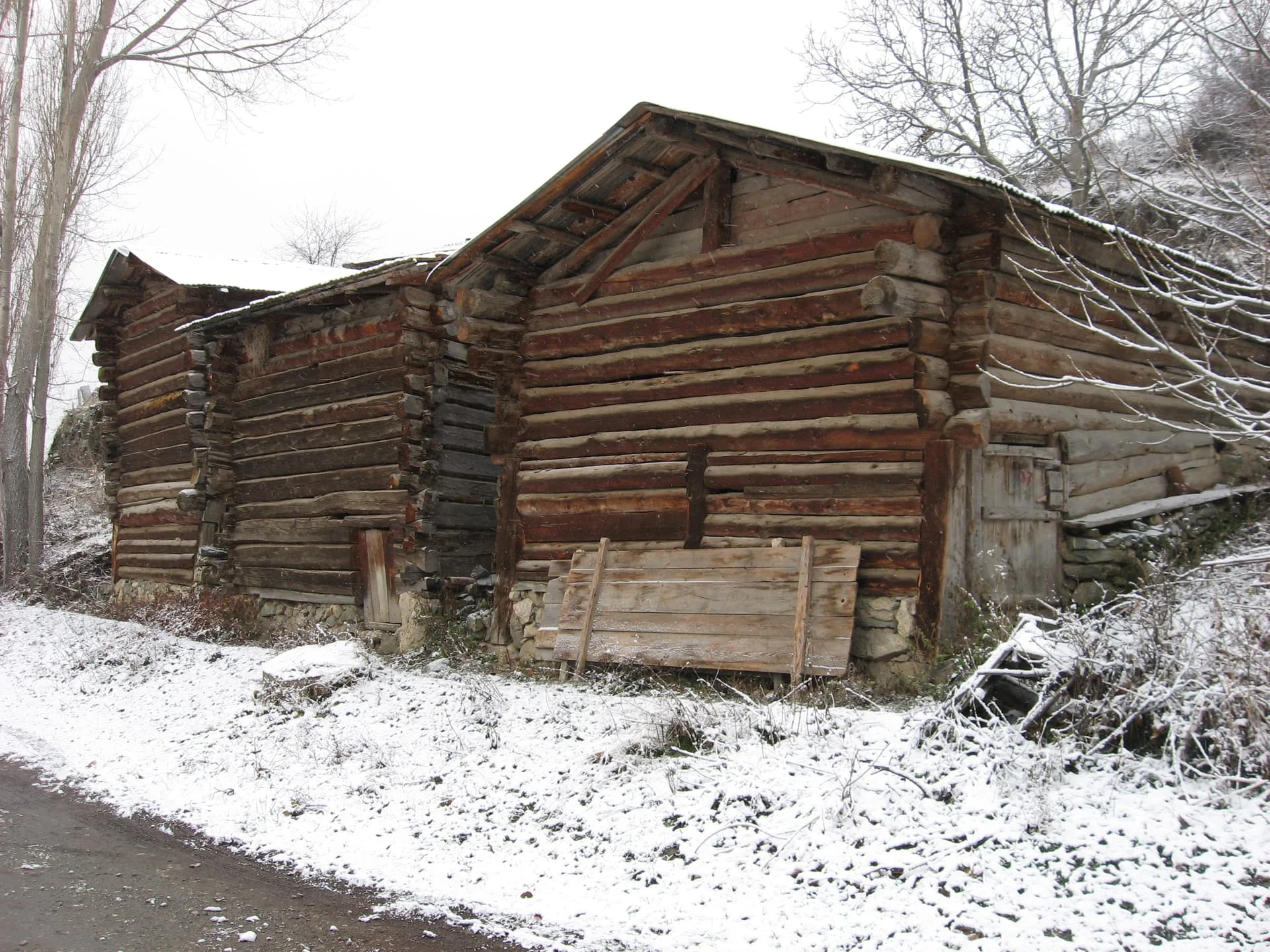 ilgazdan resimler (128)