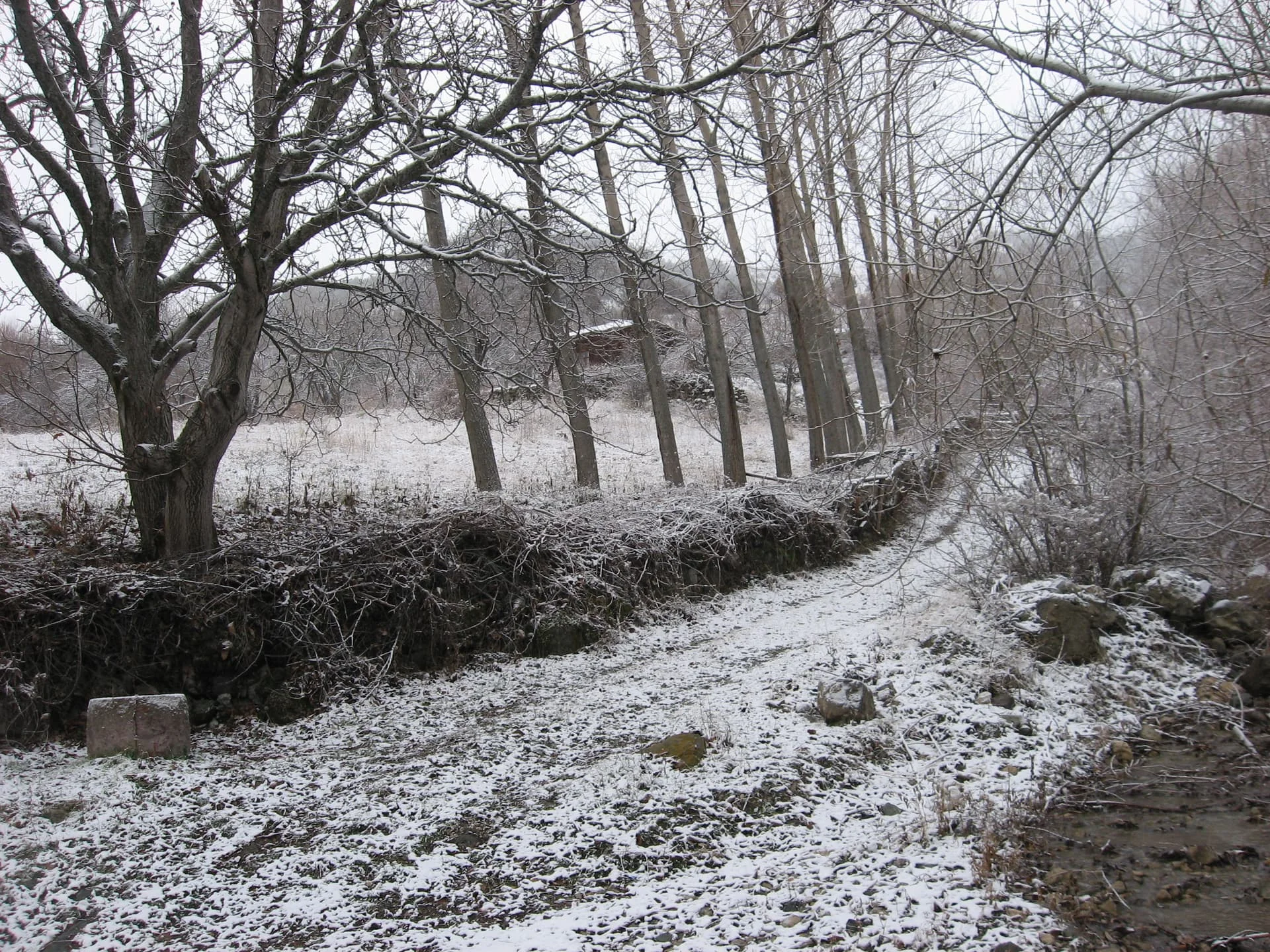 ilgazdan resimler (130)