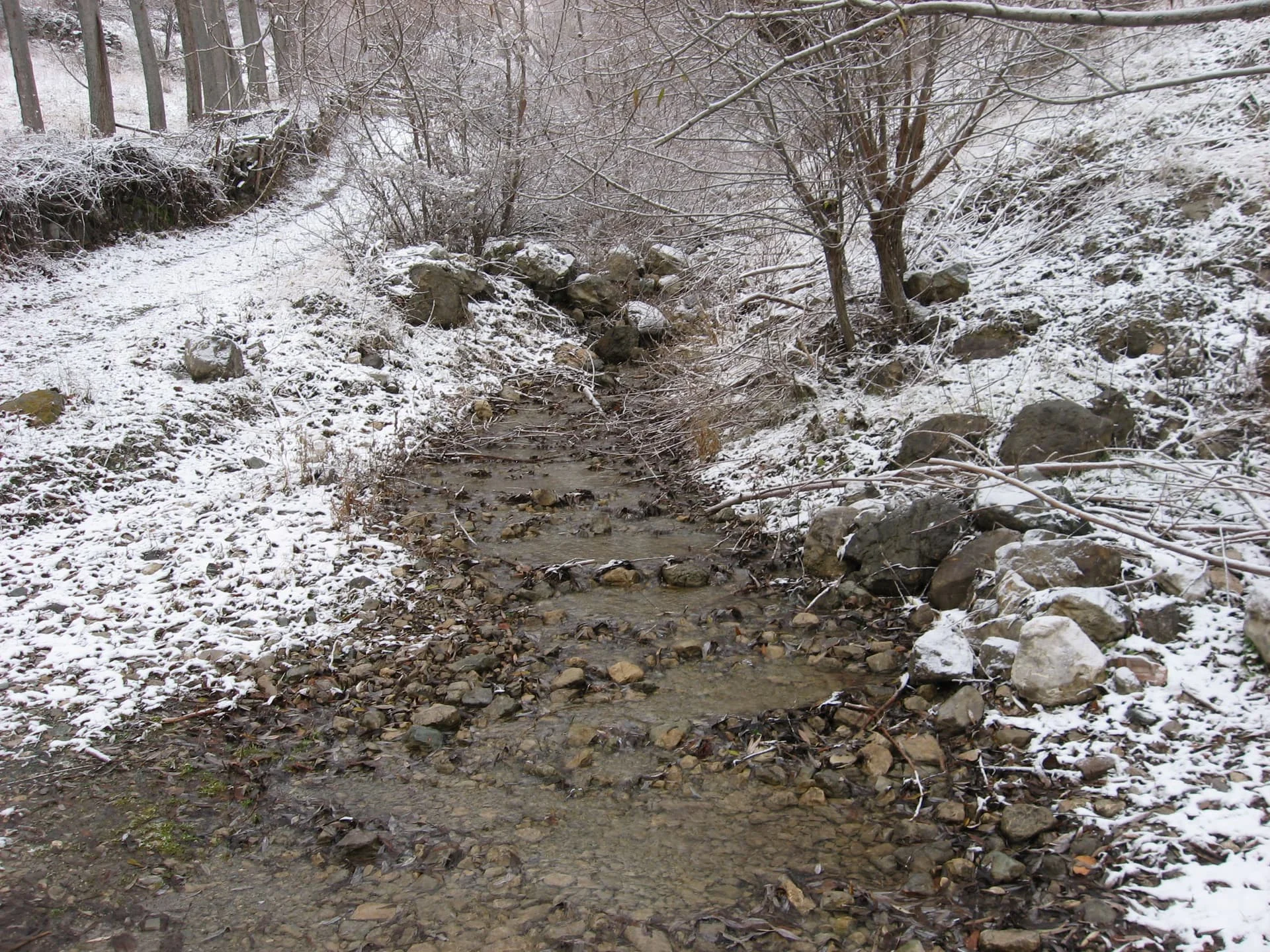 ilgazdan resimler (131)