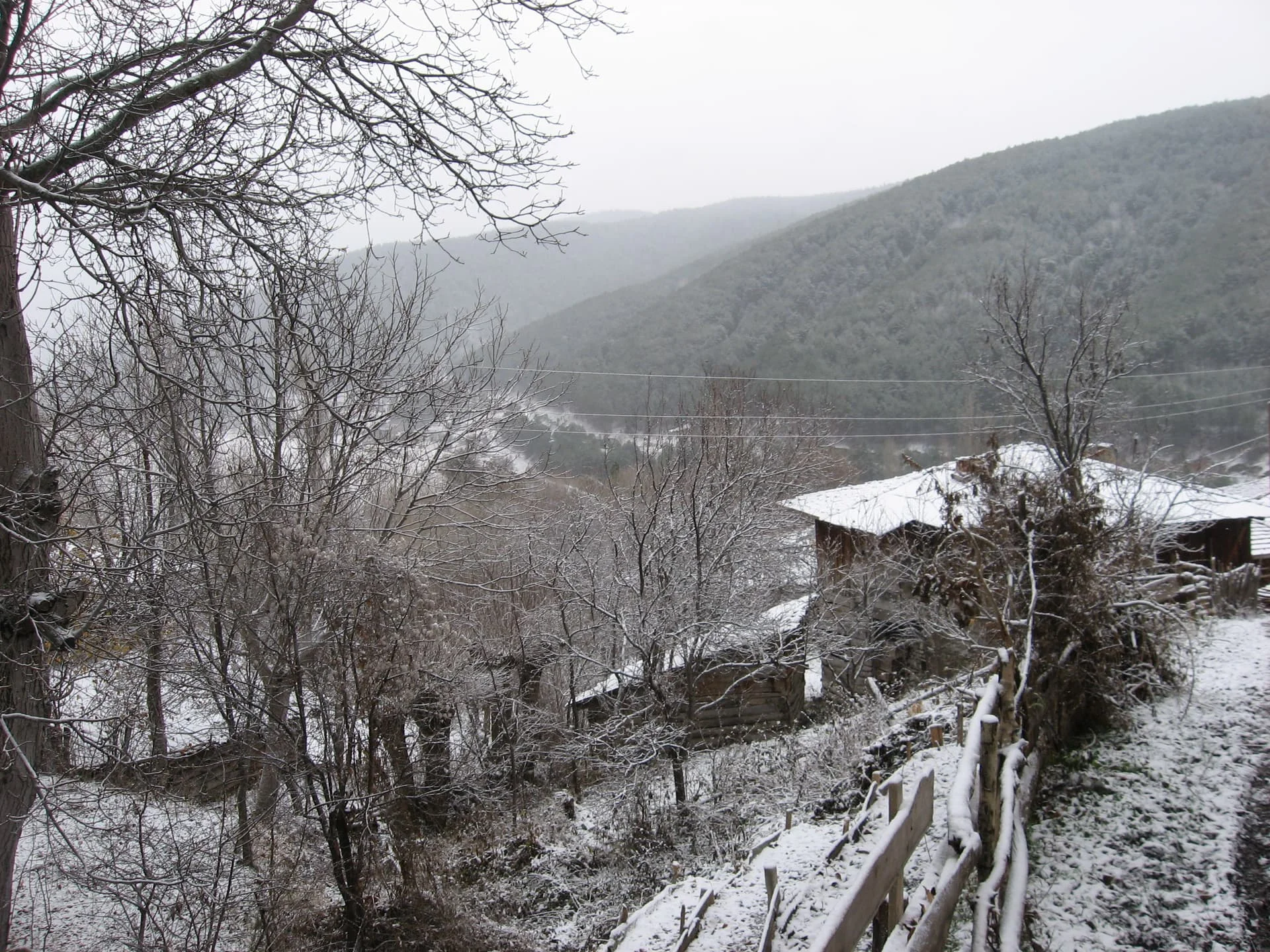 ilgazdan resimler (134)