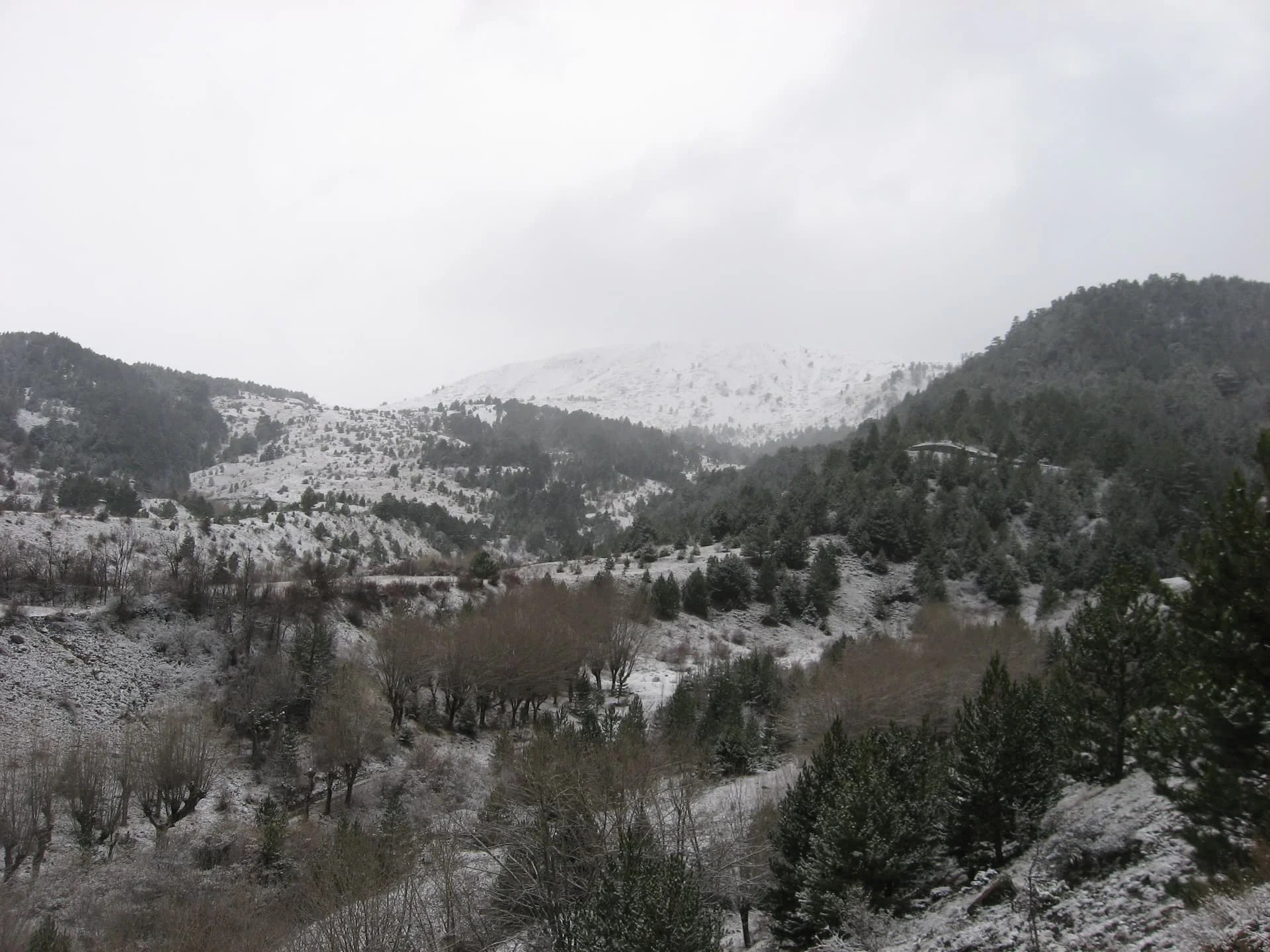 ilgazdan resimler (139)