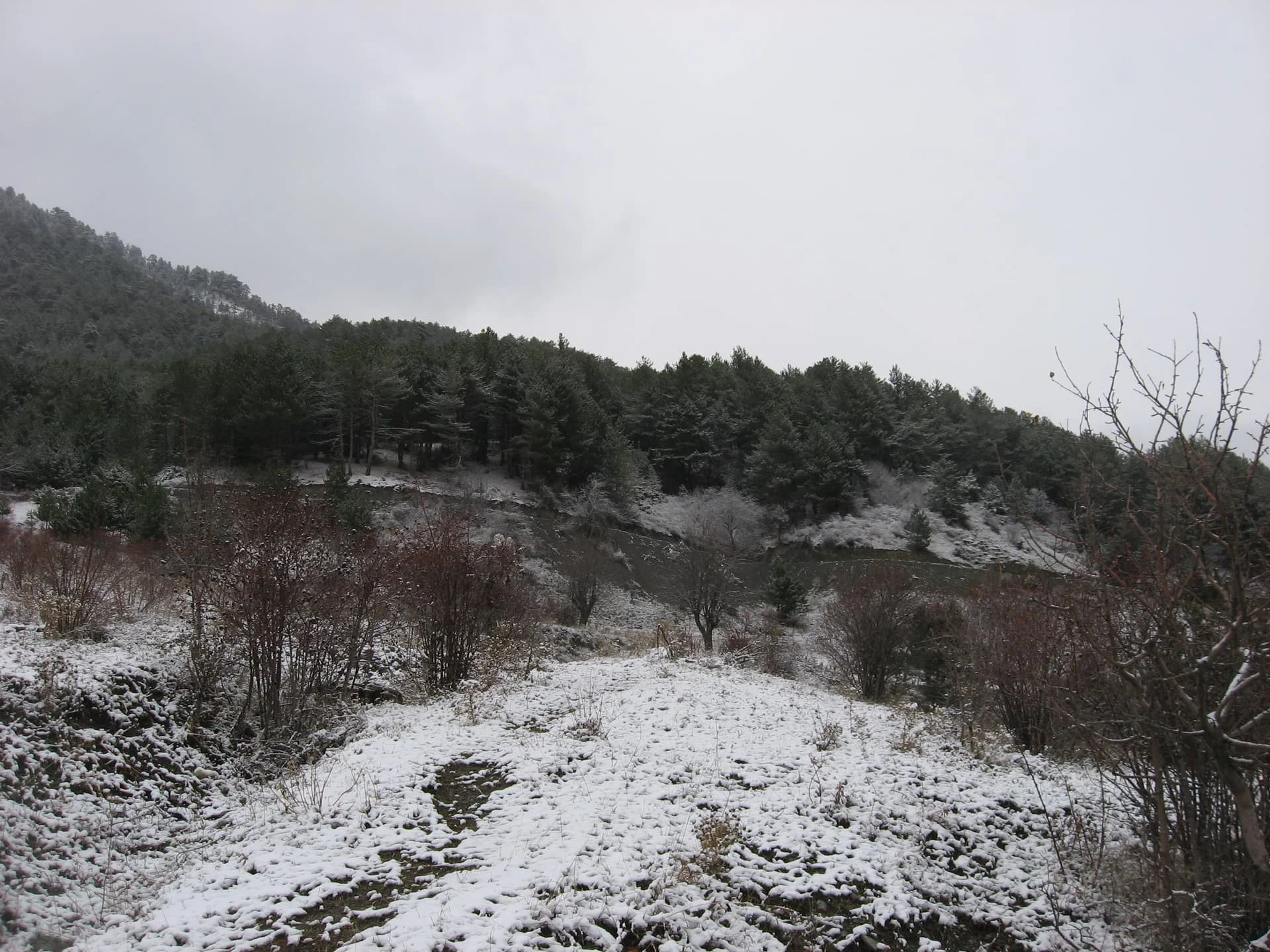 ilgazdan resimler (140)