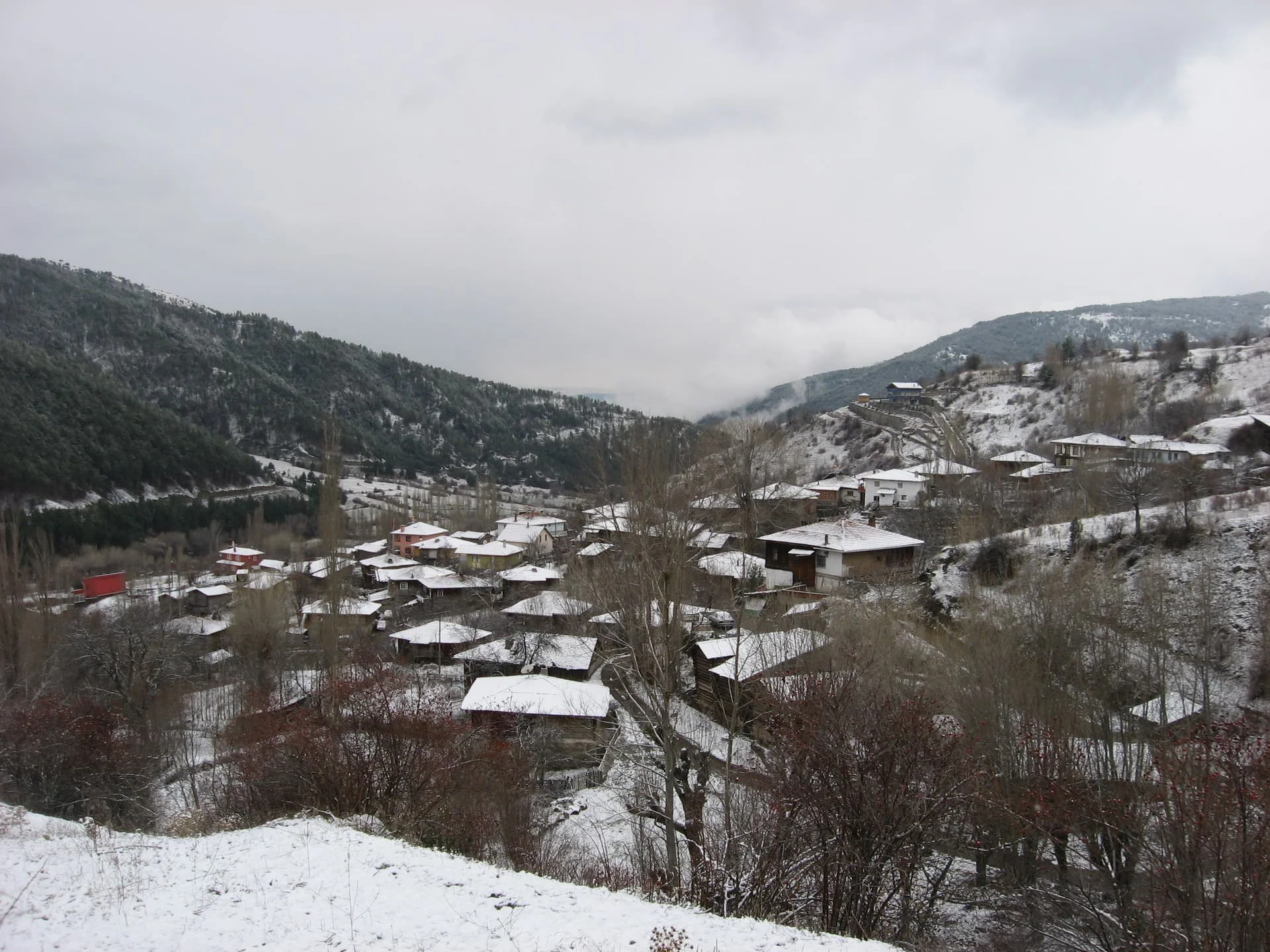 ilgazdan resimler (141)