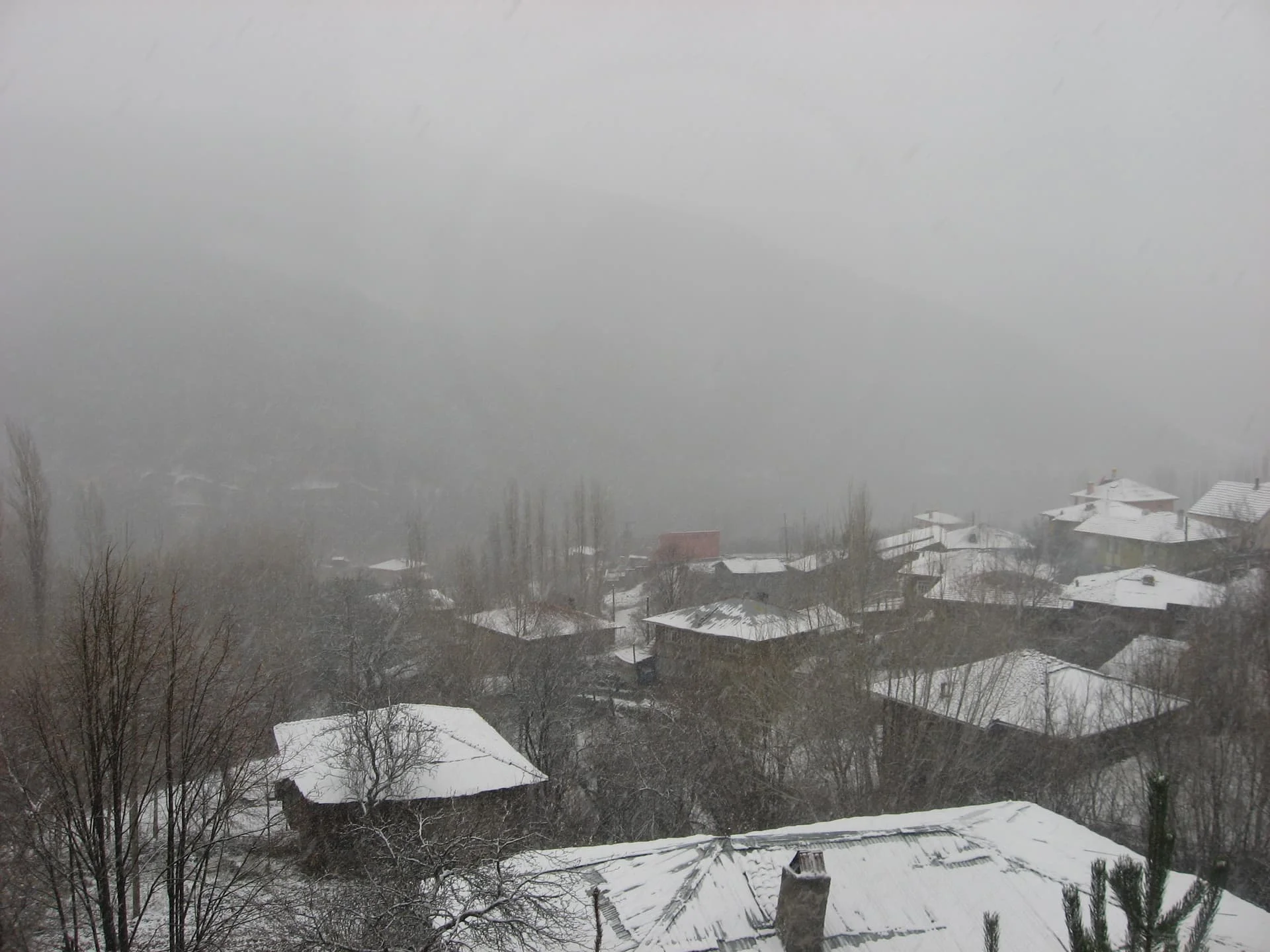 ilgazdan resimler (165)