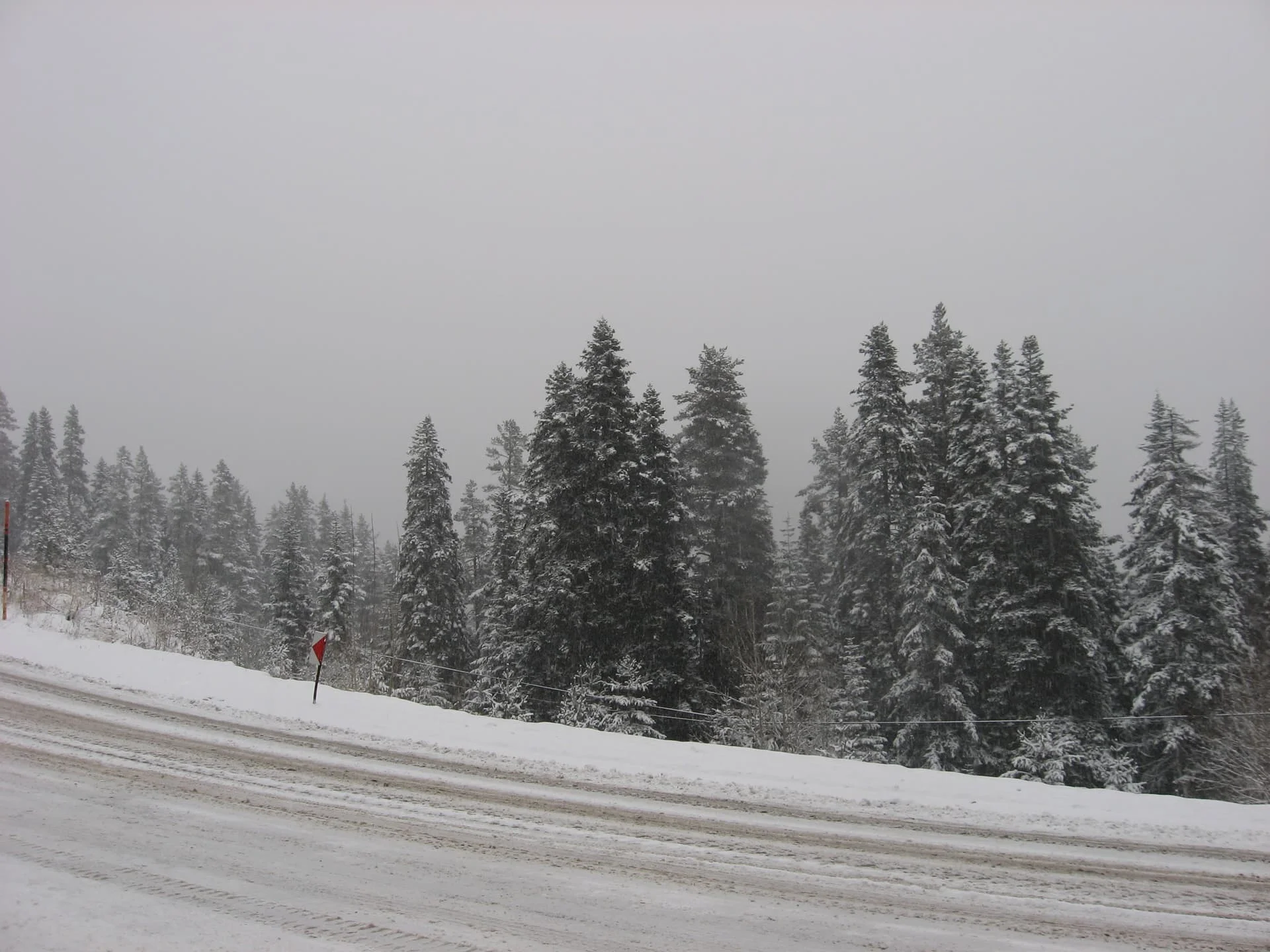 ilgazdan resimler (177)