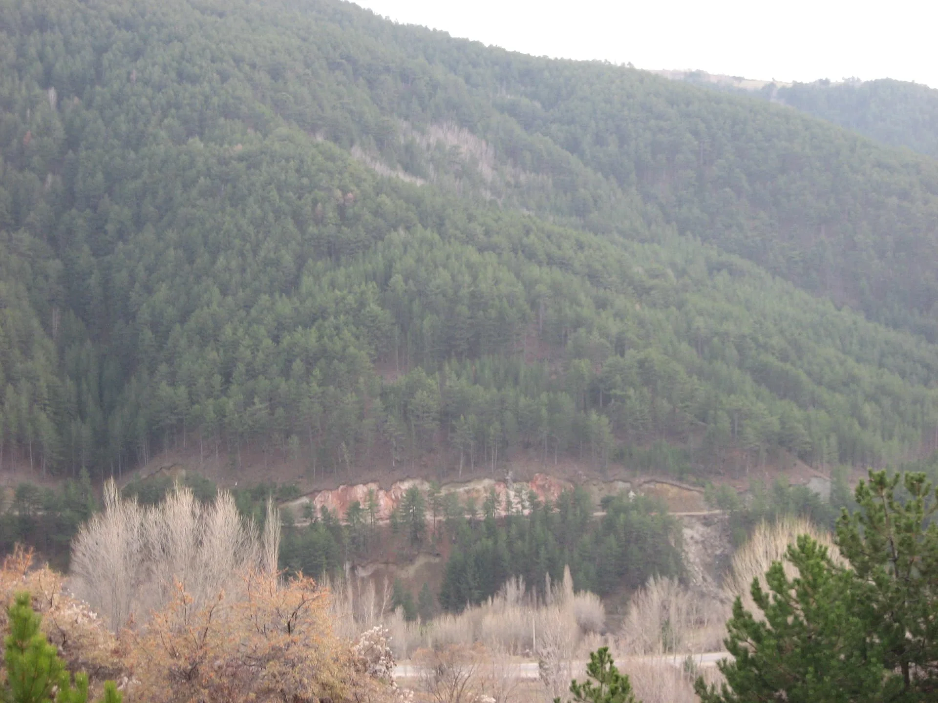 ilgazdan resimler (22)