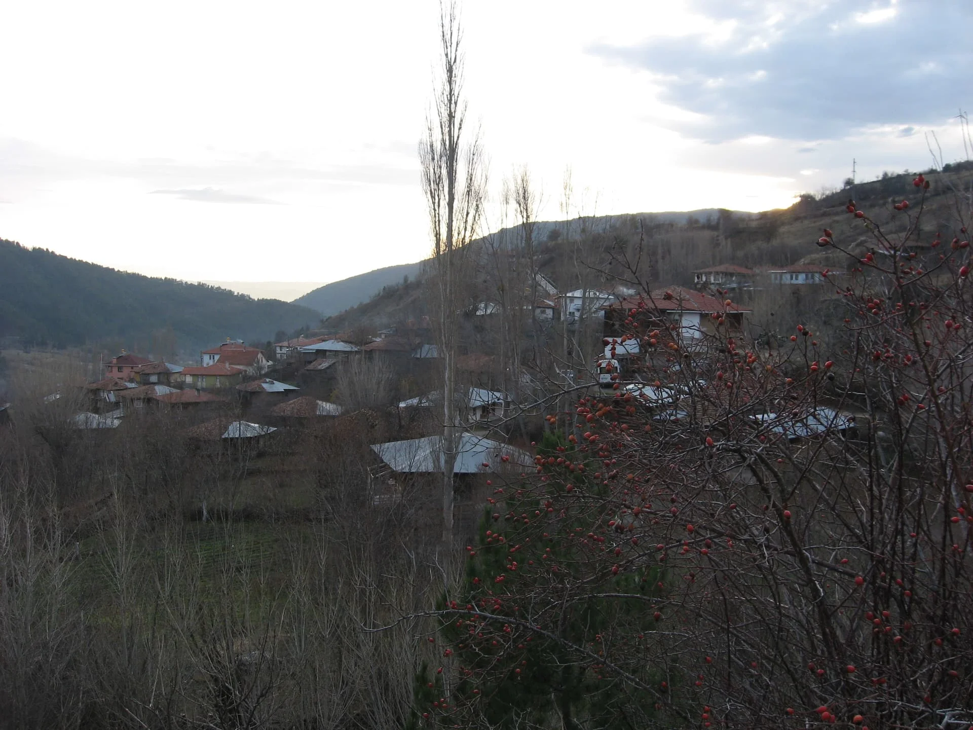 ilgazdan resimler (24)