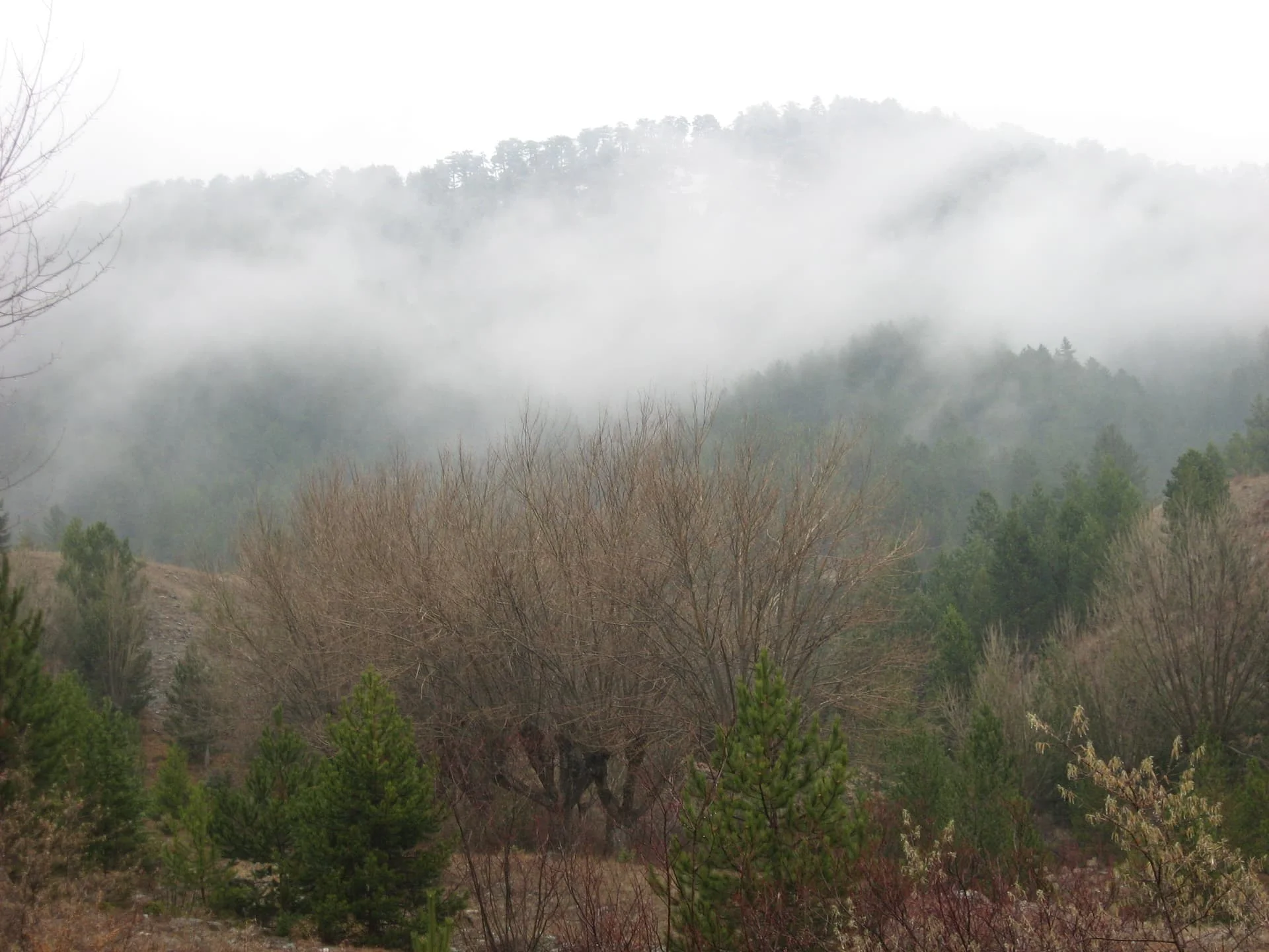 ilgazdan resimler (43)