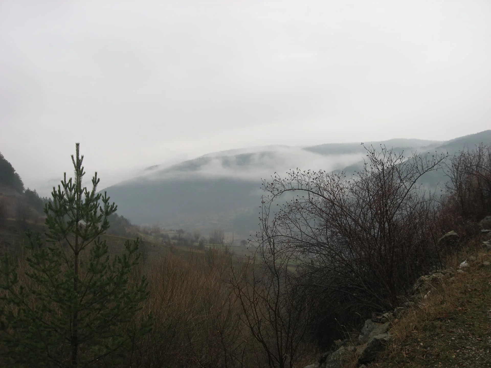 ilgazdan resimler (49)