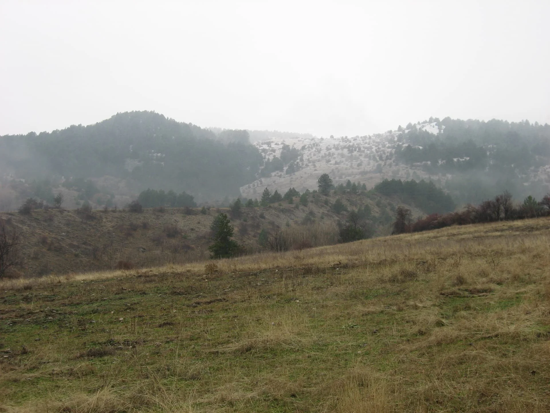 ilgazdan resimler (51)