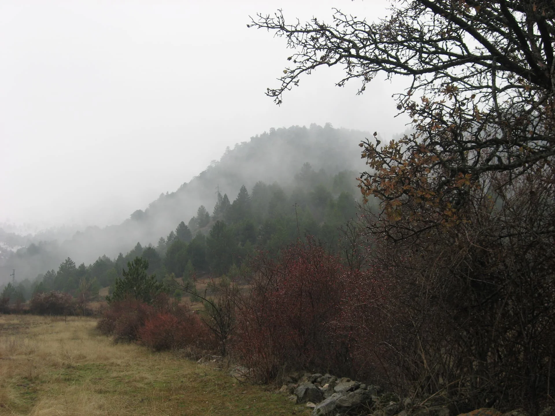 ilgazdan resimler (52)