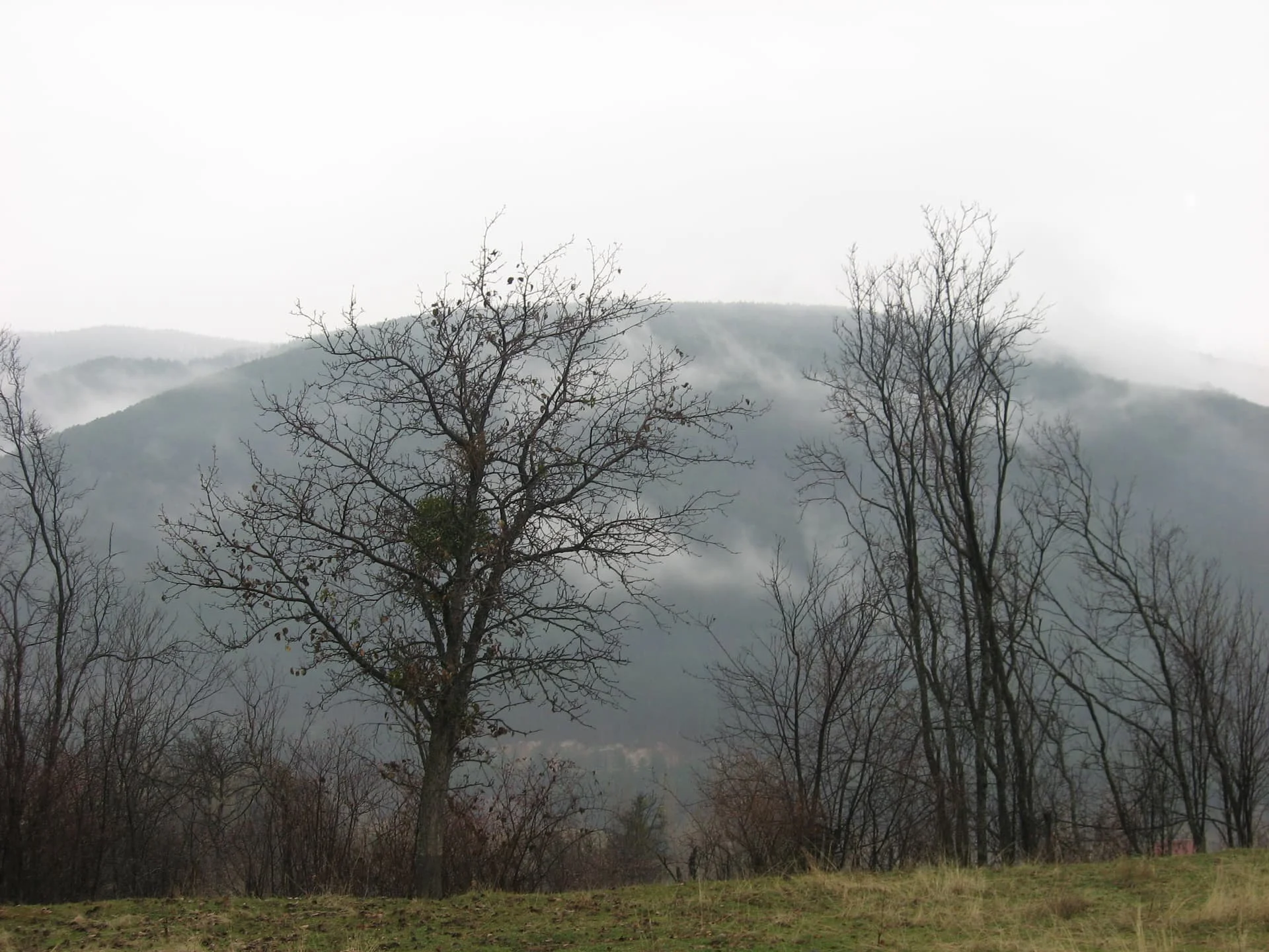 ilgazdan resimler (53)