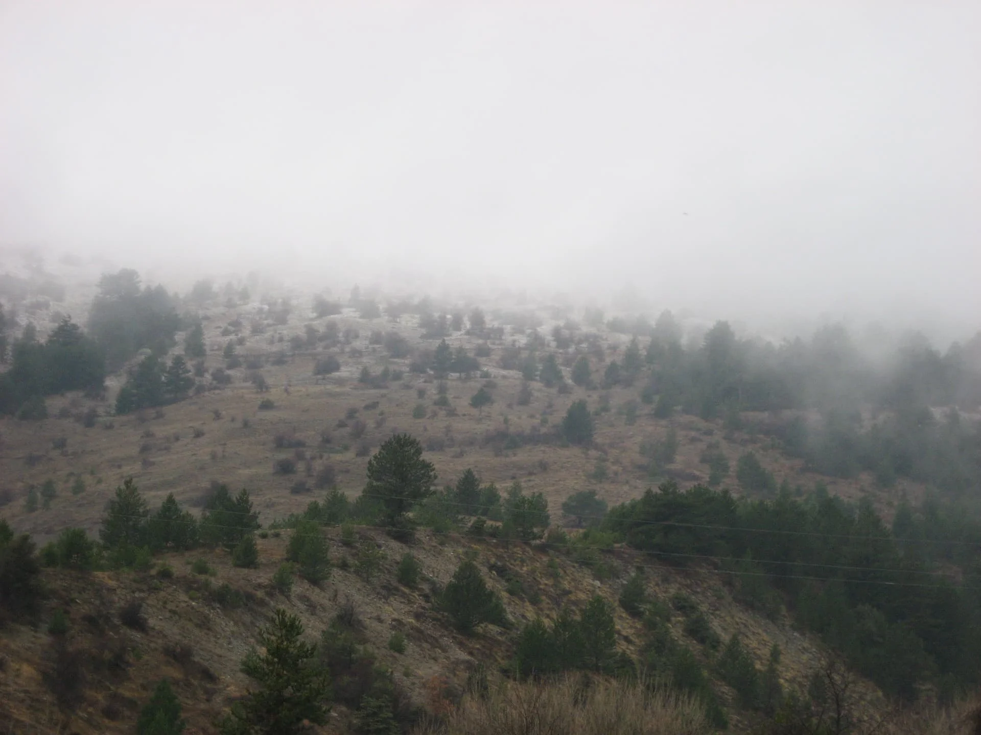 ilgazdan resimler (87)